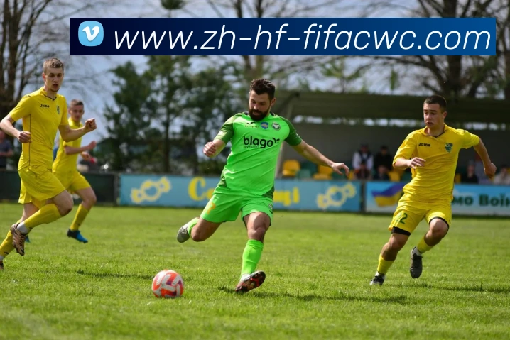 世界杯在线观看平台生态图