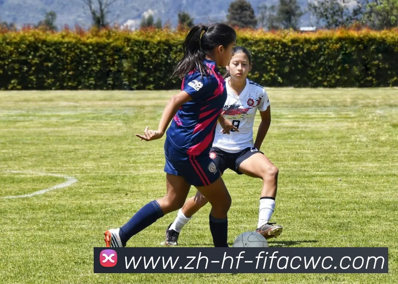 世界杯在线观看APP 封面图