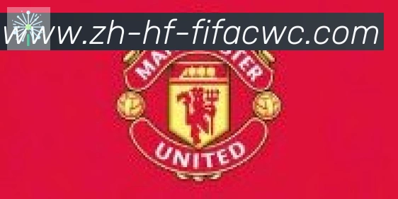 世界杯在线观看合作伙伴